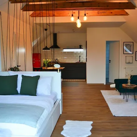 Loft Vpodhuri Krusnych Hor S Terasou A Virivkou Ostrov (Karlovy Vary)